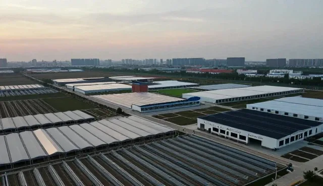 商品代理业务适用条件的精准把控与发展趋势